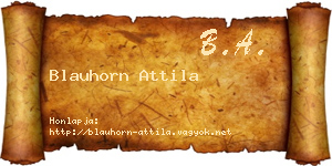 Blauhorn Attila névjegykártya